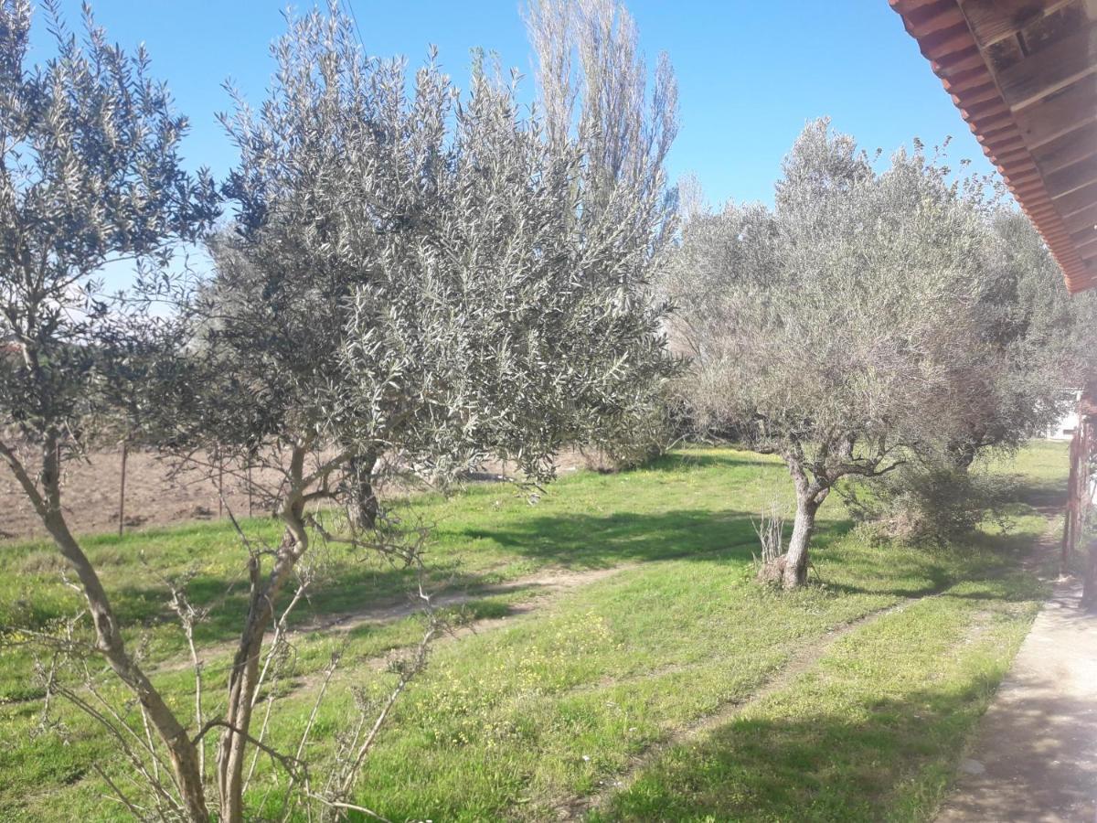 Olympian Garden Home Ayos Nikolaos Dış mekan fotoğraf